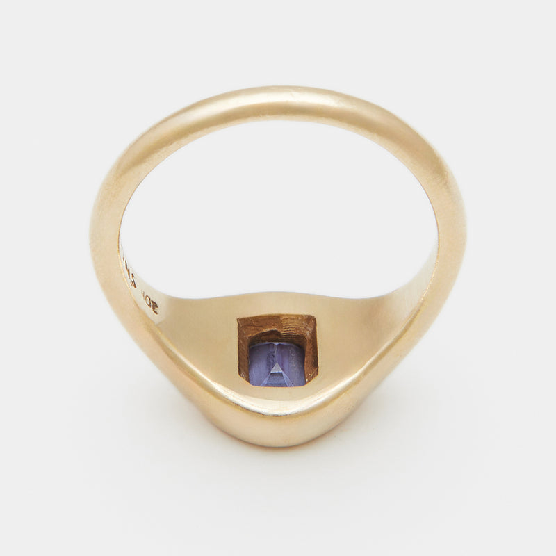 Evan Birthstone Signet Ring in Gold