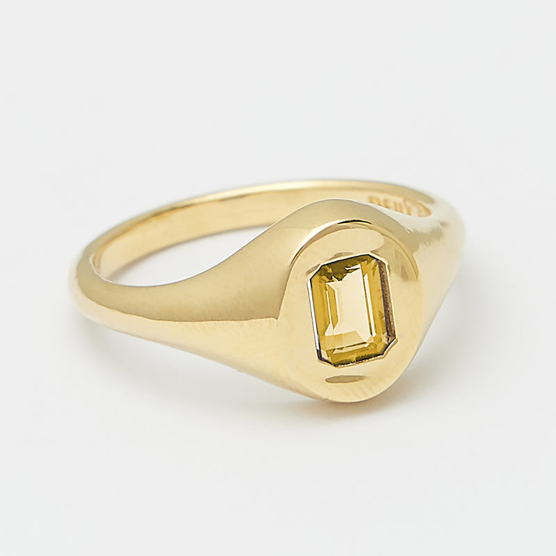 Evan Birthstone Signet Ring in Gold