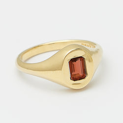 Evan Birthstone Signet Ring in Gold