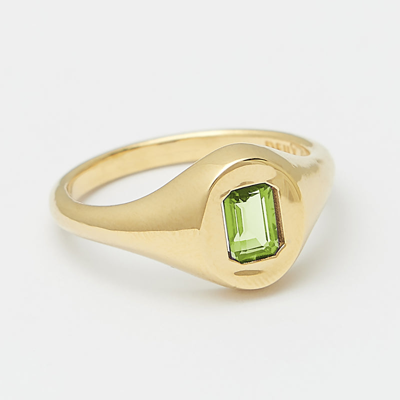 Evan Birthstone Signet Ring in Gold