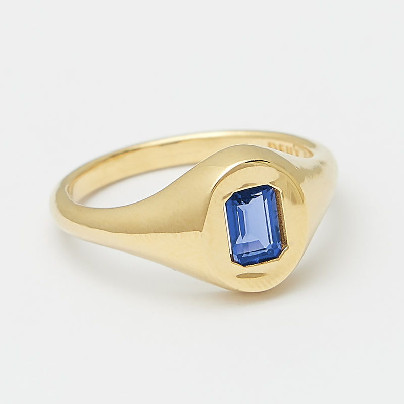 Evan Birthstone Signet Ring in Gold