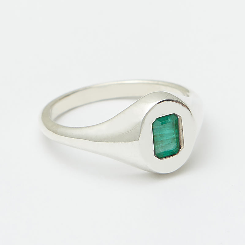 Evan Birthstone Signet Ring in Silver