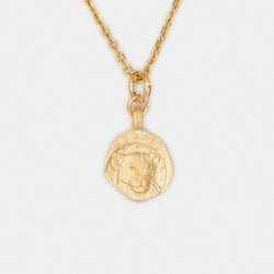Medusa Charm Necklace in Gold